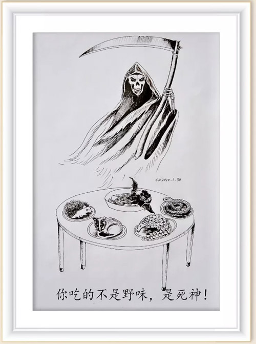 314 你吃的不是野味 是死神 陈 楠.jpg