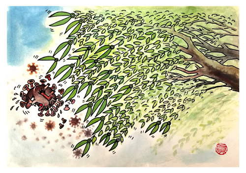 17《春风杨柳万千条》王真.jpg