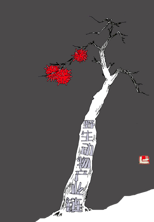 18《恶果》张礼杰.jpg