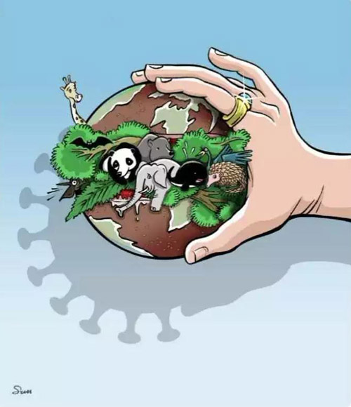 《超级巨无霸》孙宝欣（山东）.jpg