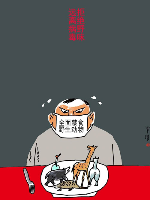 《拒绝野味远离病毒》 漫画 罗琪.jpg