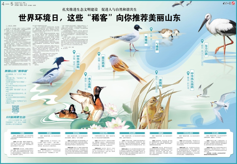 二等奖-大众日报2023年6月5日4-5版_副本.jpg