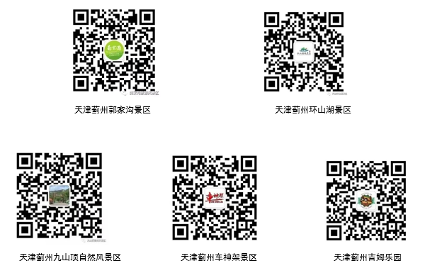 54a5e3f1676b7c00a496f980d333b49.png