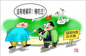 1385 W_H908