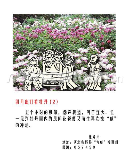 1000 W_H1181