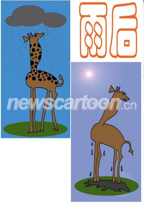 816 W_H1156