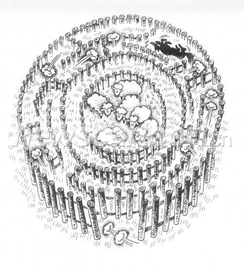 2186 W_H2407