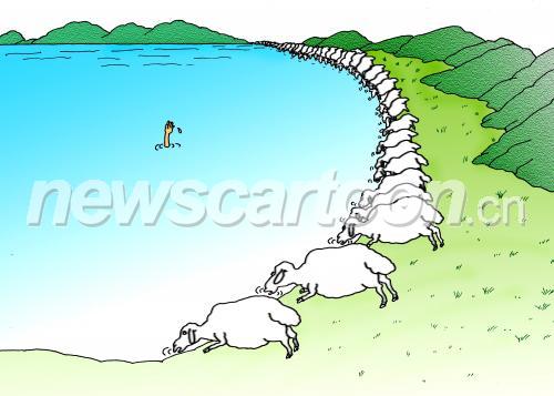 3153 W_H2250