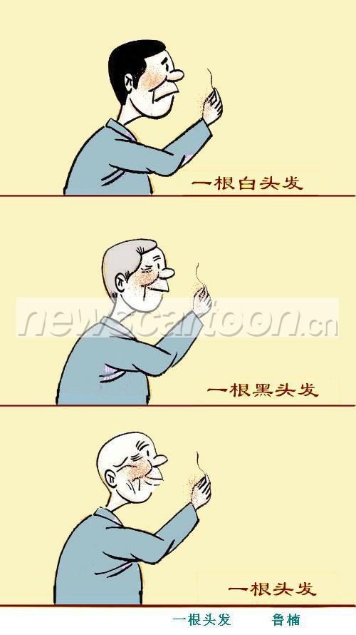 500 W_H890