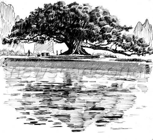 1816 W_H1658
