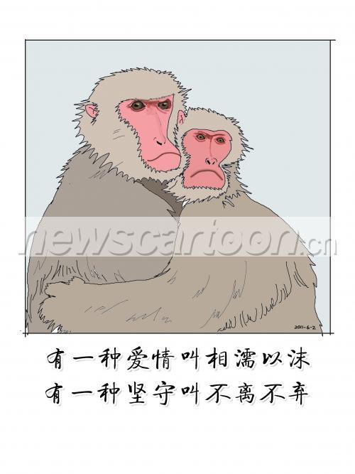 2448 W_H3264