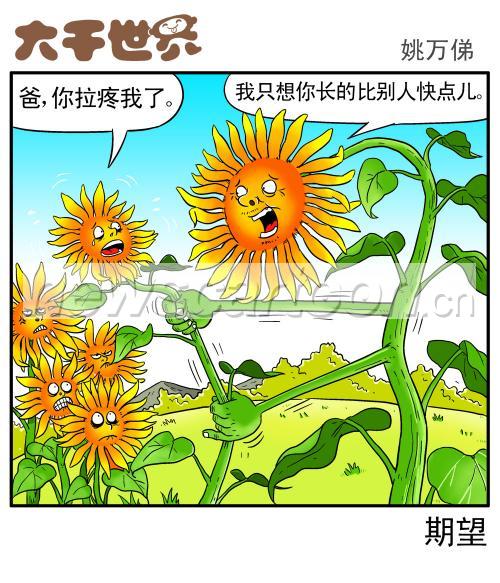 1000 W_H1166