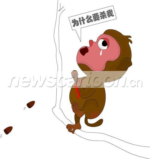 864 W_H918