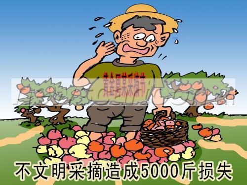 3000 W_H2250