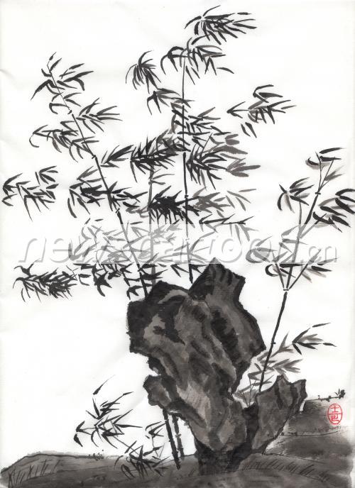 2548 W_H3504