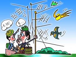 2835 W_H2126