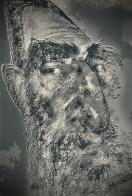 2398 W_H3556