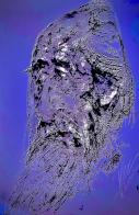 2455 W_H3786