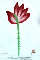 2013 W_H3012