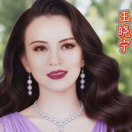 王晓宁